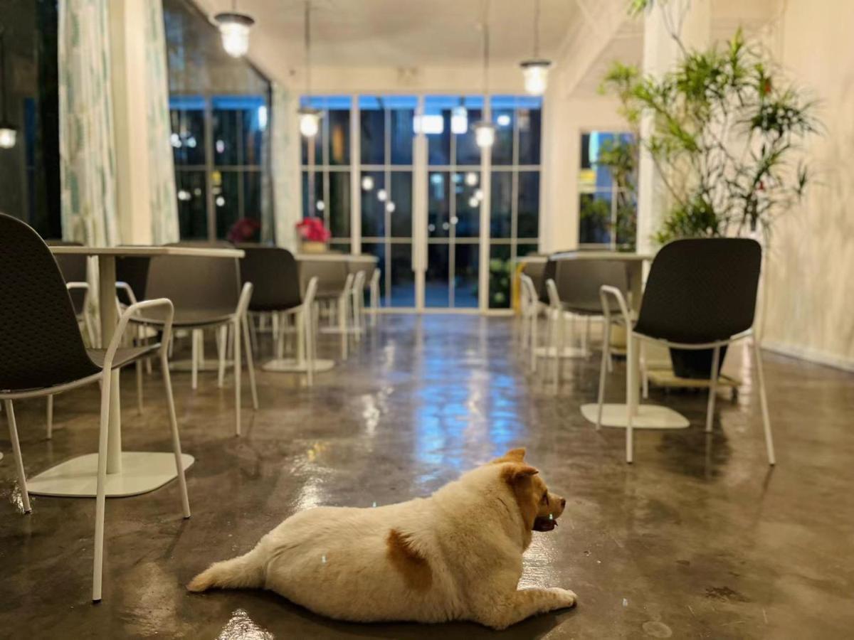 Shenzhen Loft Youth Hostel Luaran gambar